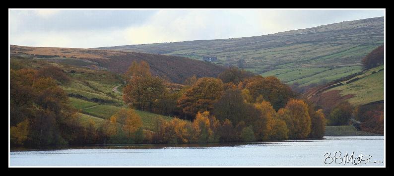 Digley in Autumn: Photograph by Steve Milner